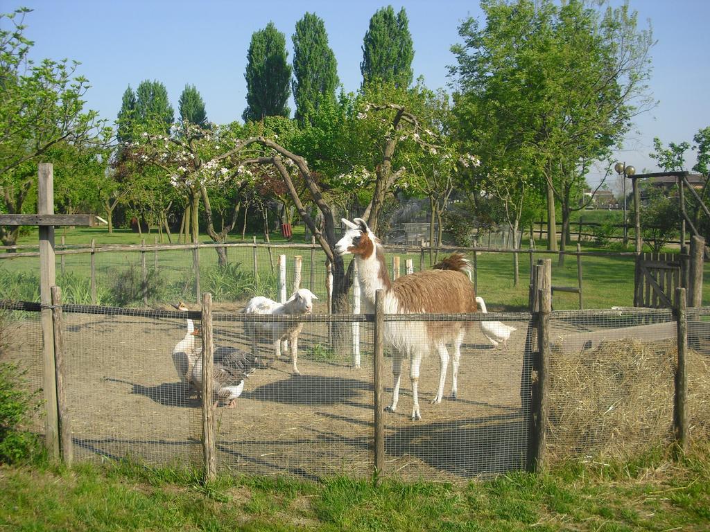 Pensjonat Agriturismo La Penisola Campo San Martino Zewnętrze zdjęcie